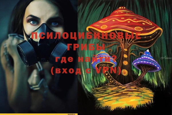 хмурый Богородицк