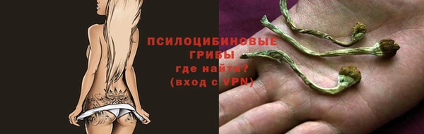 соль ск Богданович