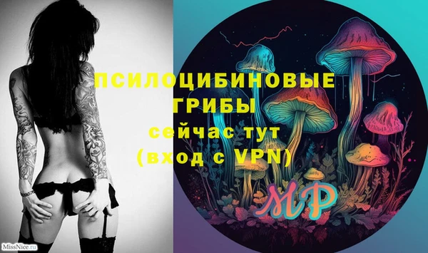 соль ск Богданович