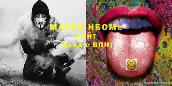 хмурый Богородицк