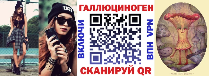купить наркотики сайты это наркотические препараты Псилоцибиновые грибы GOLDEN TEACHER Долгопрудный